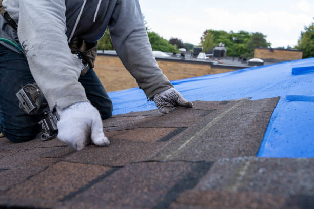 Roof Waterproofing Services in Burke Centre, VA